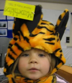 Tiger Hat / Fancy Dress Costume Hat & Tail for Children Aged 3-8